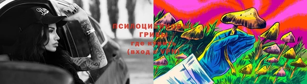 гидра Арсеньев