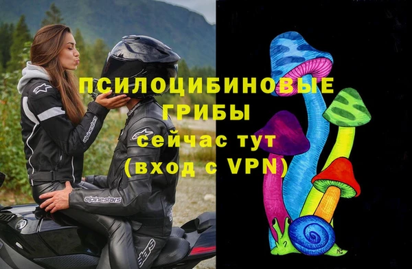 трава Осташков