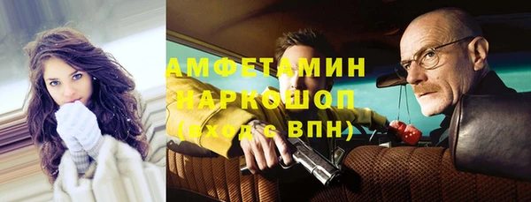 гидра Арсеньев