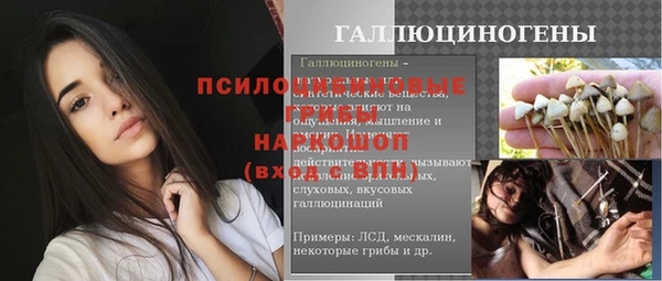 прущий лед Аркадак